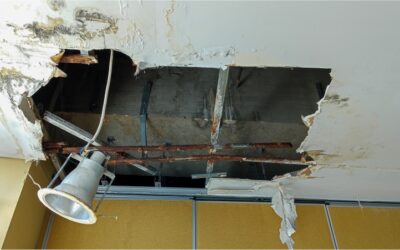 How to Know When to Replace Your Roof in Weston: Key Signs and Advice