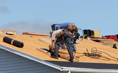 How Do I Handle Roof Repair in The Ridges, Florida?