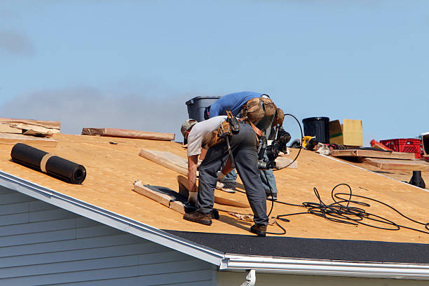 Roof Repair in The Ridges, FL